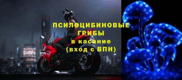 трава Нягань