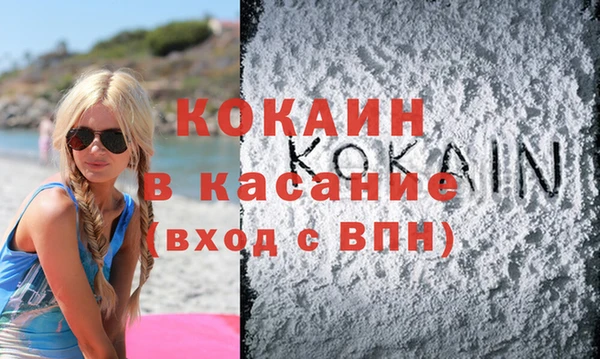 скорость Болотное