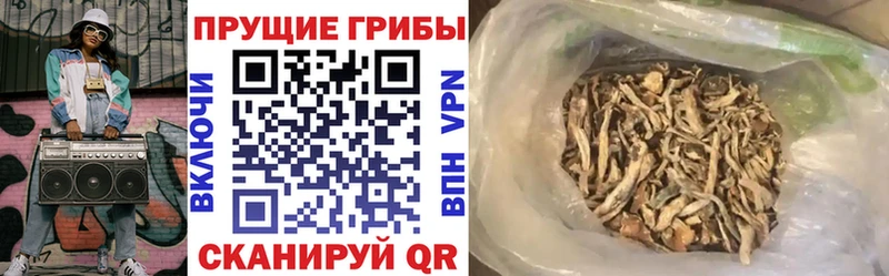 Псилоцибиновые грибы мухоморы  Новокузнецк 