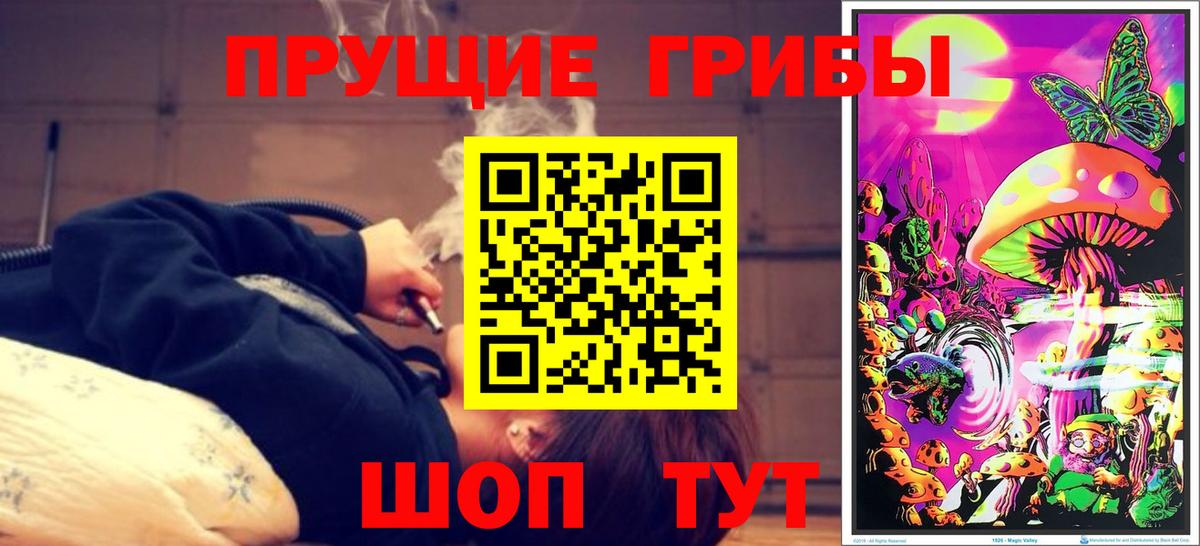 Новокузнецк  купить наркотик  Вход с VPN  Псилоцибиновые грибы мухоморы 